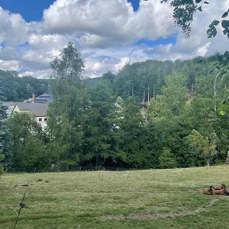 Erzglueck I Wlan I Kueche I Stellplatz I 4p Apartment Neuwelt